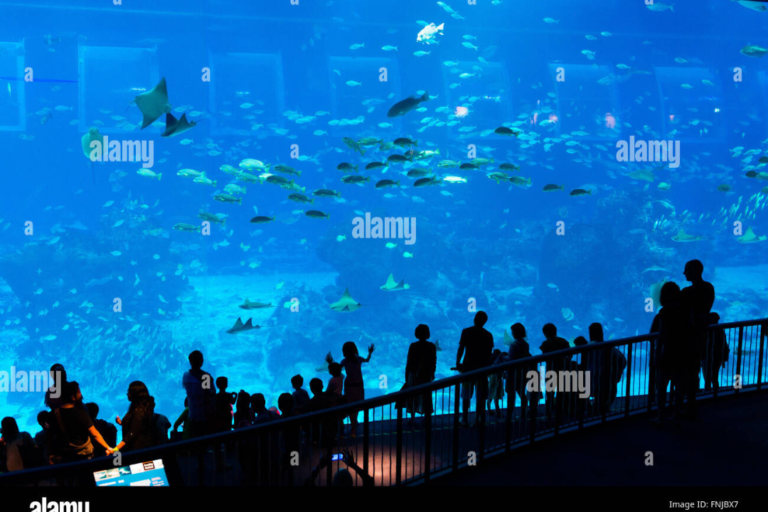 Sentosa